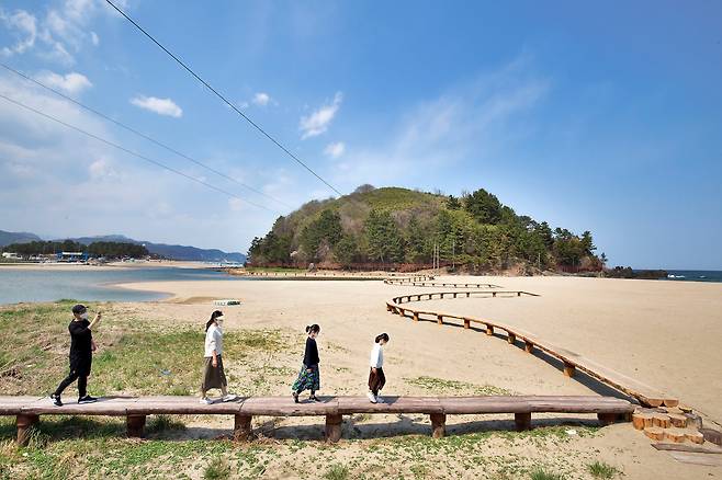 덕봉산 해양 생태 탐방로는 해변의 외나무다리부터 시작한다. / 한준호 영상미디어 기자