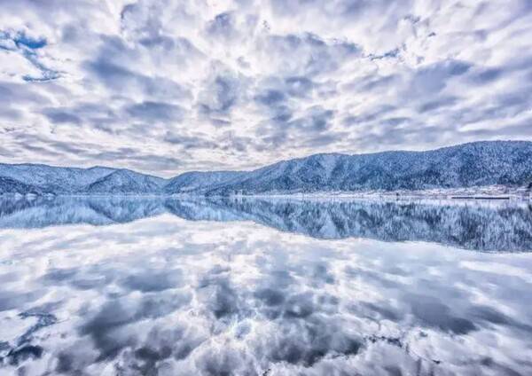 온라인 커뮤니티