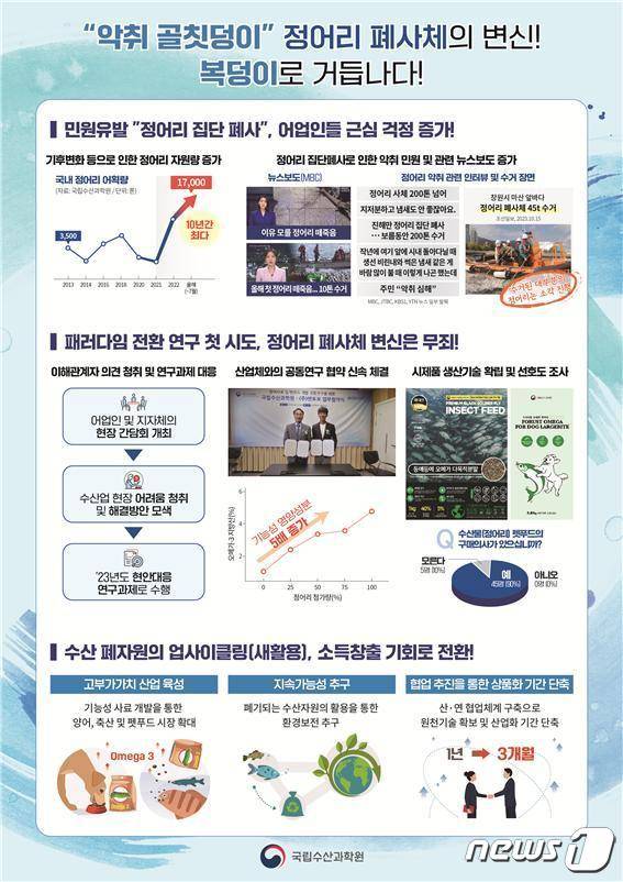 정어리 폐사체 활용 연구내용 인포그래픽. (수과원 제공)