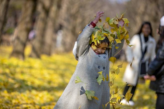 말레이시아에서 온 달리하(4)가 은행잎을 던지며 환하게 웃고 있다. ⓒ시사IN 박미소