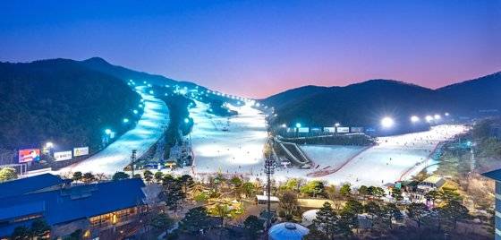 수도권 스키장은 퇴근 후 야간스키를 타러 가는 사람이 많다. 이에 스키장마다 야간 조명을 보강해 대낮처럼 밝은 환경에서 안전하게 스키를 타도록 하고 있다. 사진 곤지암리조트