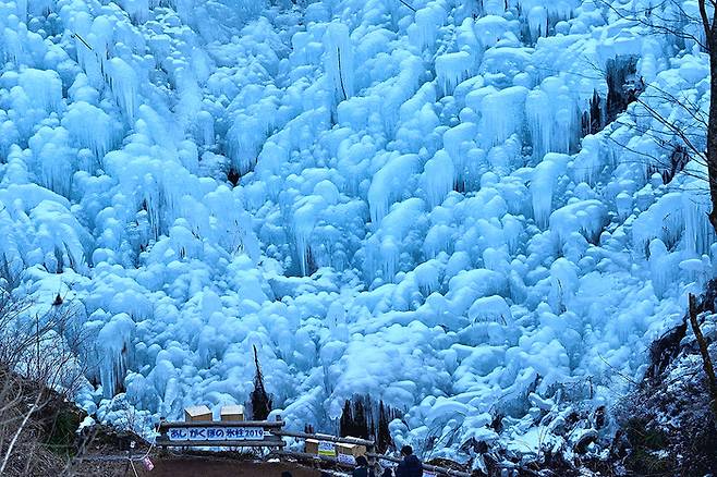고드름축제 / 사진=요코제 공식 홈페이지