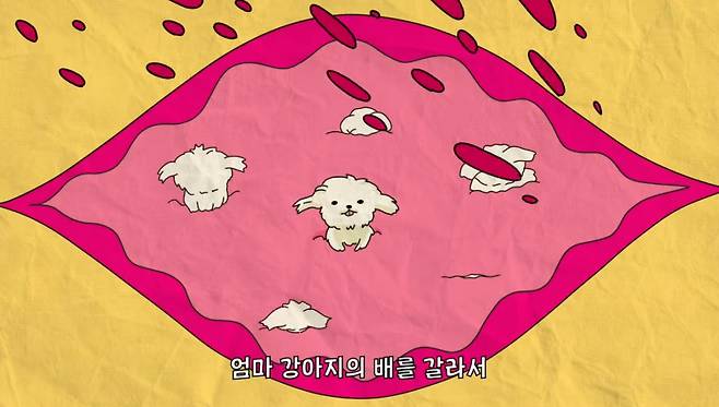 어미 배를 가르고 새끼 강아지를 꺼내는 모습의 일러스트./사진=위액트 유튜브 영상 '사지않을개' 캠페인, '펫숍 강아지는 어디서 올까?' 화면 캡쳐