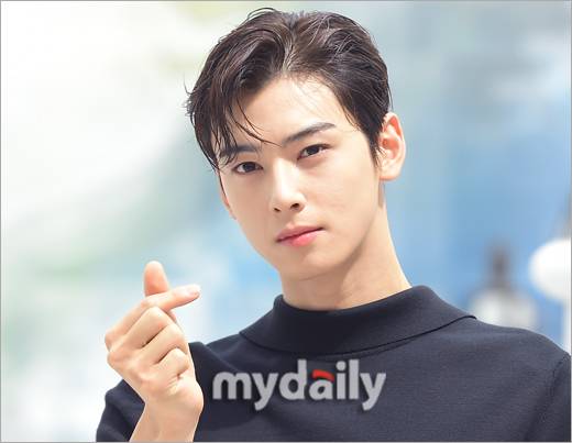 차은우 / 마이데일리 사진DB