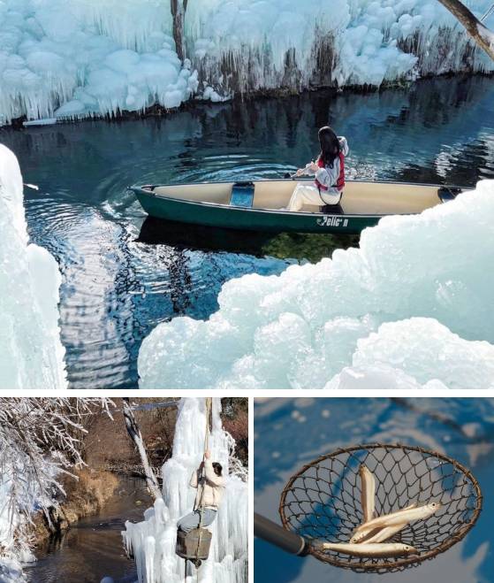 온라인 커뮤니티