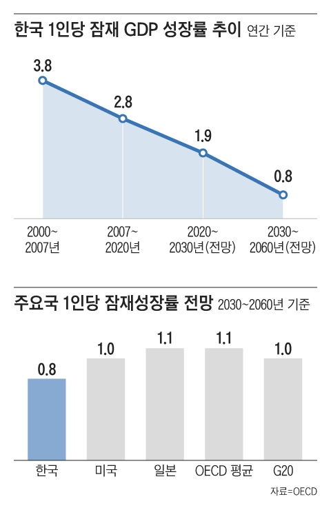 그래픽=조선디자인랩 정다운