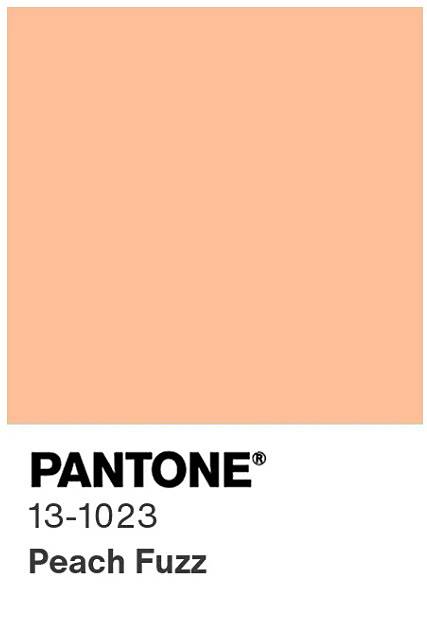 2024년 올해의 컬러로 지정한 피치퍼즈. 출처: 팬톤.