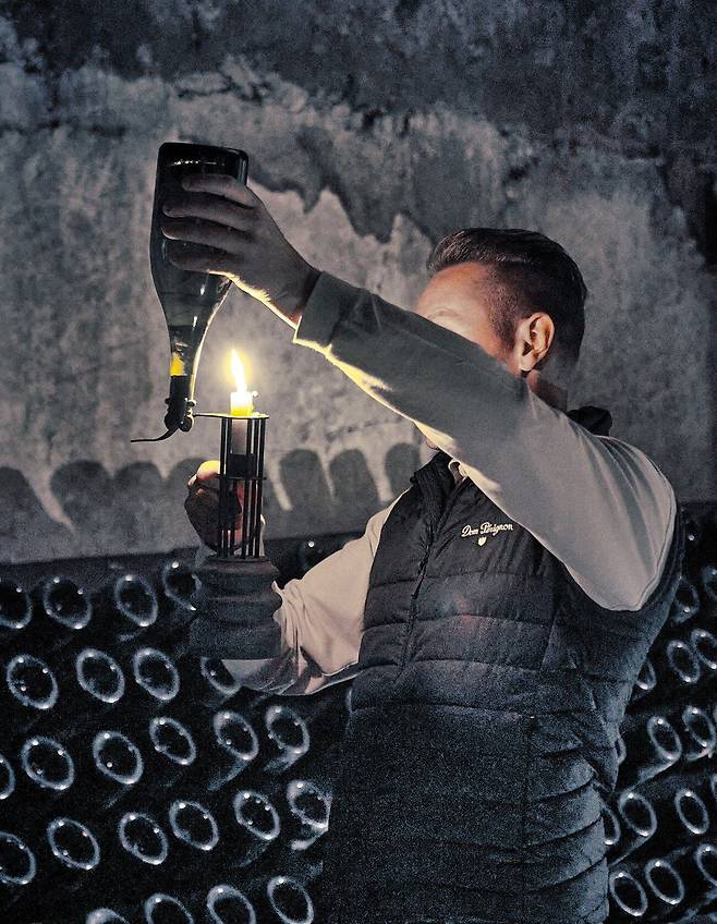 돔페리뇽 직원이 숙성 중인 샴페인에 있는 효모 찌꺼기를 보여주고 있다. /돔페리뇽