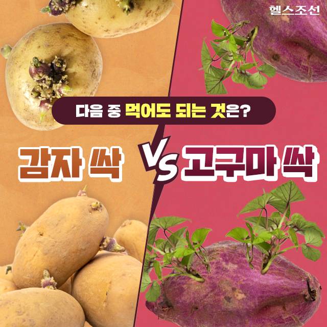 사진=헬스조선DB