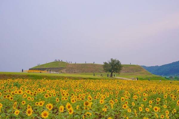 온라인 커뮤니티