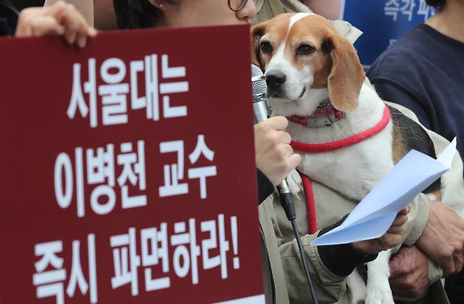 비글구조네트워크 회원들이 지난 2019년 세계 실험동물의 날인 24일 오전 서울 관악구 서울대학교 동물병원 앞에서 기자회견을 열어 비윤리적 복제 관련 연구와 사업을 원천 취소하고 서울대 이병천 교수를 즉시 파면할 것을 촉구하고 있다. 백소아 기자 thanks@hani.co.kr