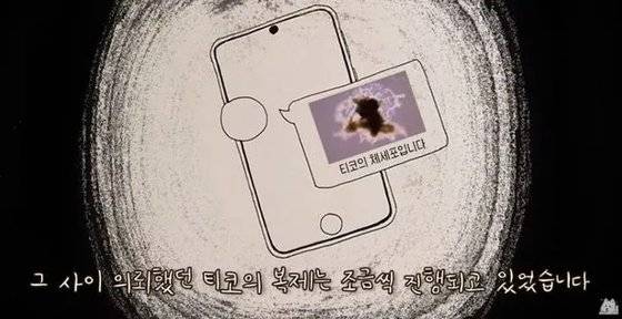 사진 '사모예드 티코' 유튜브 영상 캡처