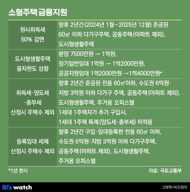 소형주택 금융지원 /그래픽=비즈워치