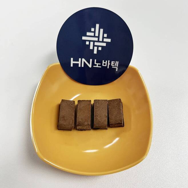 HN노바텍의 대체 카카오 원료로 만든 생초콜릿 시제품 / 출처=HN노바텍