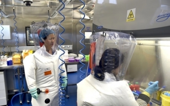 2017년 2월 우한바이러스연구소에서 스정리(왼쪽) 박사가 동료와 연구를 진행하는 모습. EPA 연합뉴스 자료사진