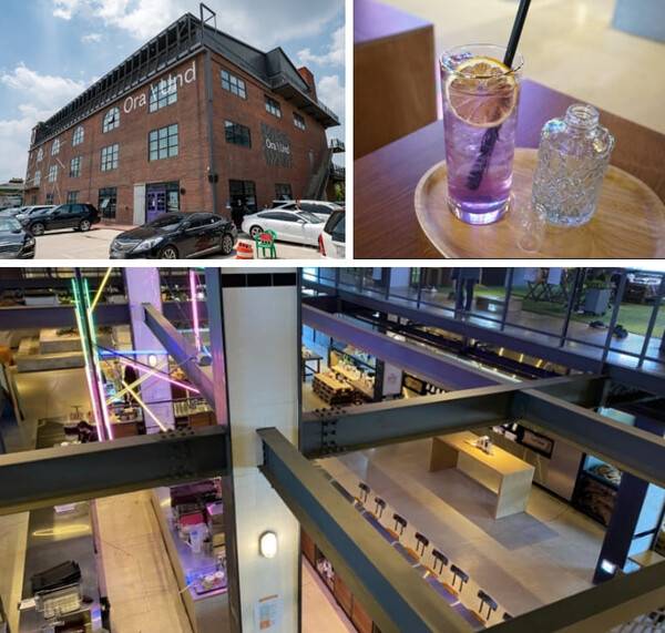 온라인 커뮤니티