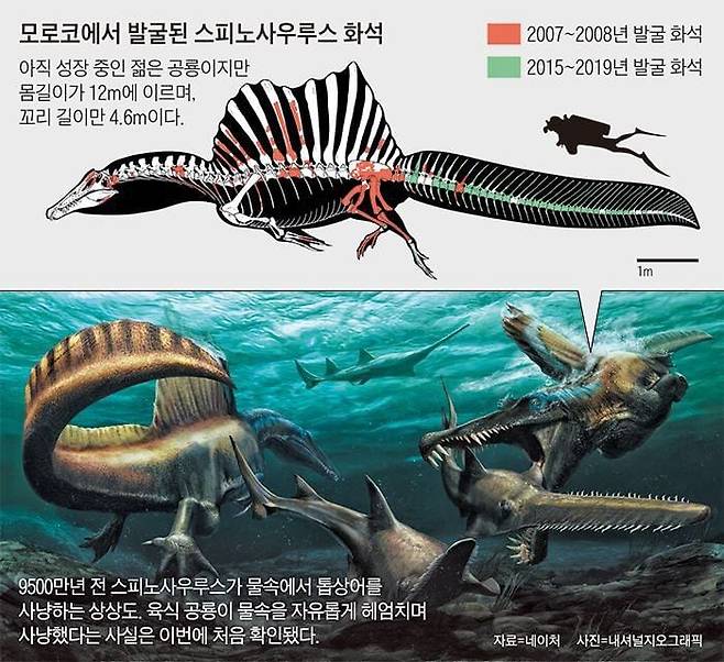 물속에서 사냥한 첫 육식공룡인 스피노사우루스./조선DB