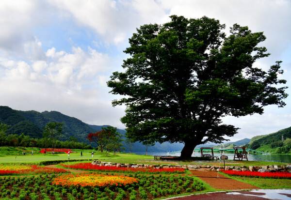 화천 가볼만한 곳 추천 / 온라인 커뮤니티