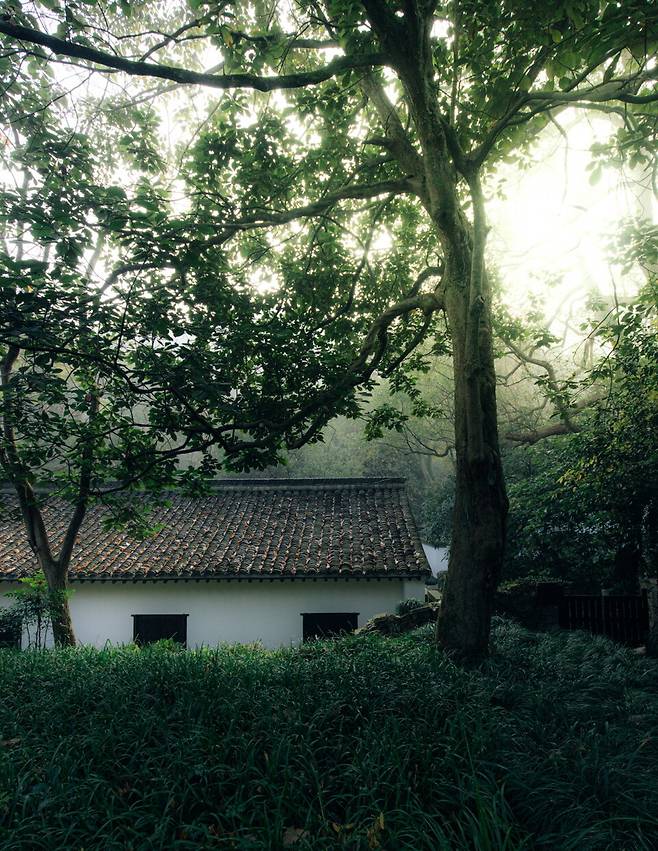 아만파윤의 모든 객실은 과거 파윤 마을에서 차밭을 일구며 살아가던 실제 농부들의 집이다. 현재는 그 집을 리모델링해 객실로 사용한다. 창문을 열어 놓으면 노린재를 상당히 자주 볼 수 있다. 예로부터 차밭에는 노린재가 많았기 때문이다