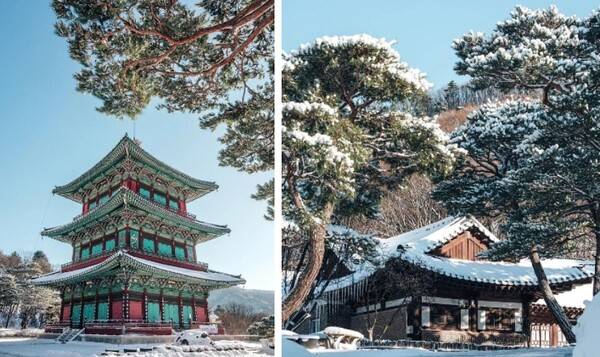 온라인 커뮤니티