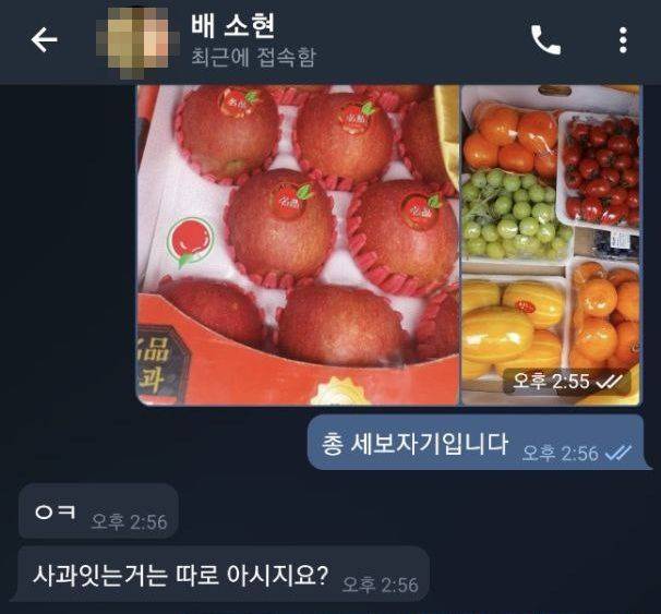 조명현씨가 "세 보자기"라며 사진 찍어 보고하자 배소현씨는 "사과는 따로"라고 지시했다. 조씨는 "격주에 한 번은 과일을 보자기에 싸서 이재명 대표 수내동 자택에 보냈다"고 주장했다. /TV조선 제공