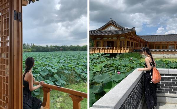 전주 가볼만한 곳 BEST 7 / @hihonddon