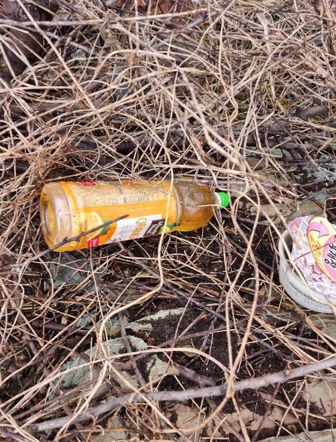 A씨 게시물 사진 캡쳐