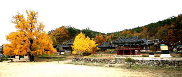 영천 가볼만한곳 추천 BEST 5 / 온라인 커뮤니티