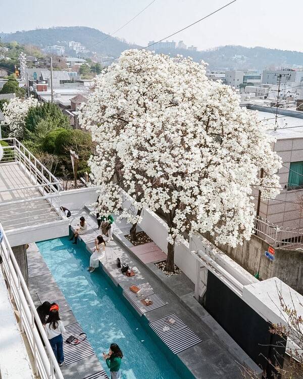 온라인 커뮤니티