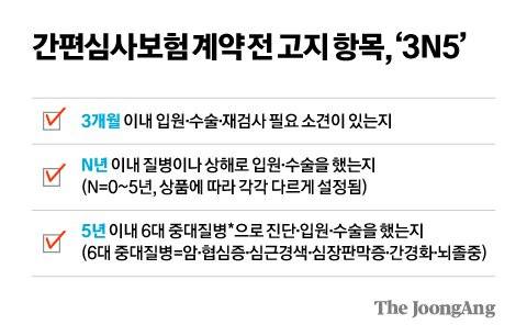 김영희 디자이너