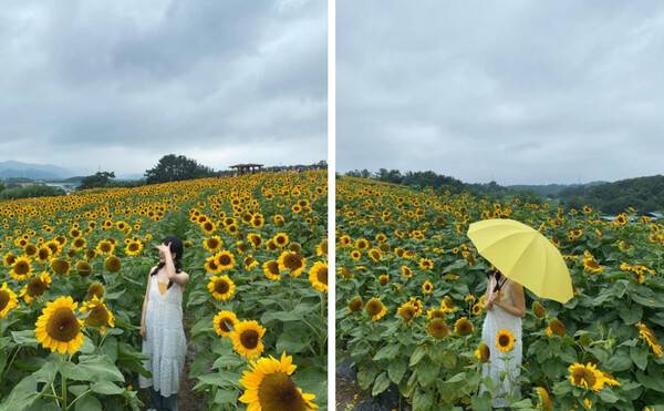 함안 가볼만한 곳 BEST 7 / @____zero.g