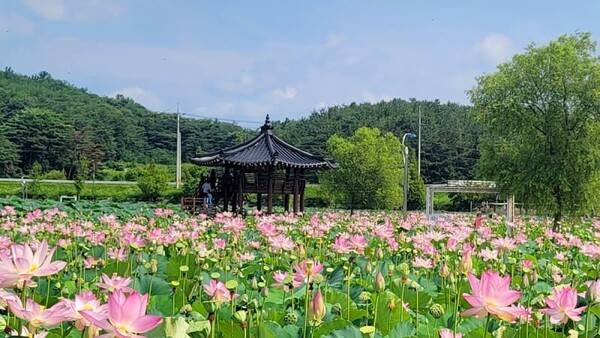 함안 가볼만한 곳 BEST 7 / 온라인 커뮤니티