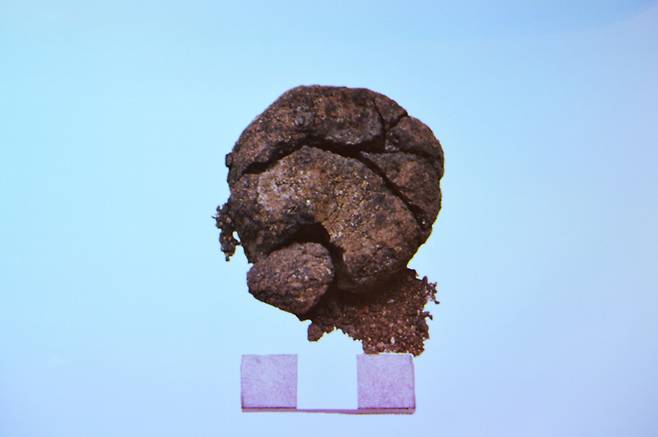 튀르키예의 차탈회위크 신석기 유적지에서 발견된 8600년 전 빵. /네지메틴 에르바칸 대학교 홈페이지