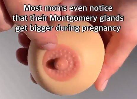 몽고메리 결절이란 유두 주변에 위치한 작은 융기나 돌기로, 염증이 생기거나 감염이 되면 고름이 생기면서 열감이 느껴질 수 있다./사진=malaakbabycare 인스타그램 캡처