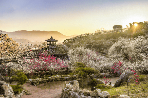 온라인 커뮤니티