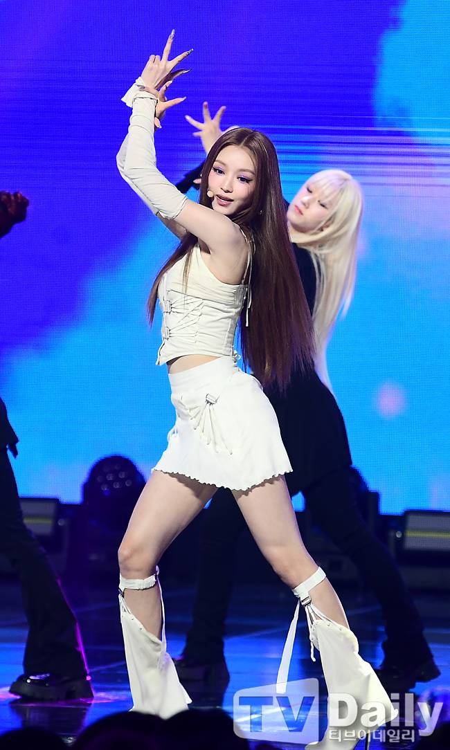 티브이데일리 포토