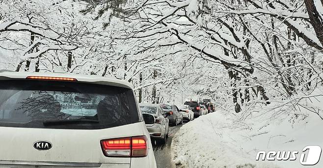 강원 산지와 동해안을 중심으로 폭설이 내린 강원 속초시 일대가 설국으로 변해 있다. (속초시 제공)2024.2.6/뉴스1 ⓒ News1 윤왕근 기자