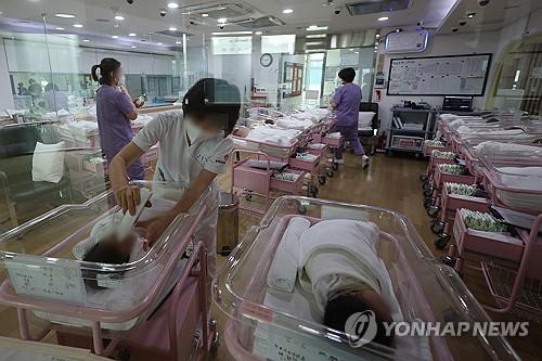 한국 산후조리원 신생아실의 모습 [연합뉴스 자료사진]