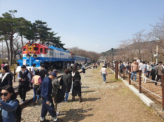 진해군항제 축제 기간인 23일 진해 벚꽃 명소로 알려진 경화역을 찾은 관광객들.