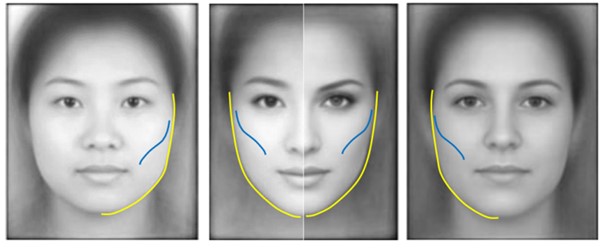 볼살이 올라붙은 느낌의 얼굴이 매력적이라 느끼는 것은 동서양이 비슷하다. [사진=D. Zhang et al., Computer Models for Facial Beauty Analysis]