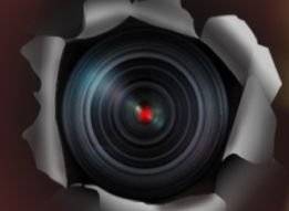 그래픽=김주원 기자