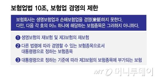 보험업법 10조, 보험업 겸영의 제한/그래픽=이지혜