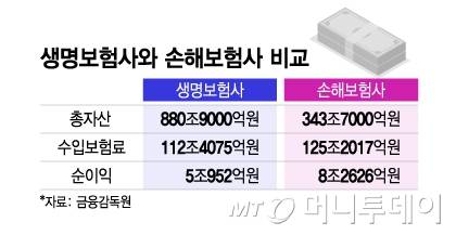 생명보험사와 손해보험사 비교/그래픽=이지혜