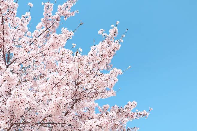 사진=클립아트코리아 제공
