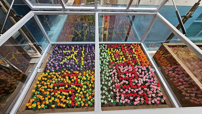 지난 9일 오후 찾은 서울 은평구 치매안심센터 2층 화단. 알록달록한 종이 꽃사이에 ‘치매극복’이라는 단어가 꾸며져 있었다. 경증 치매 환자 김운자씨가 1080송이의 종이 꽃으로 만든 작품이다. /강지은 기자