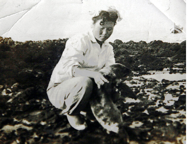1950년대 말 제주해녀 김공자씨가 강치를 안고 있다. <한겨레> 자료사진