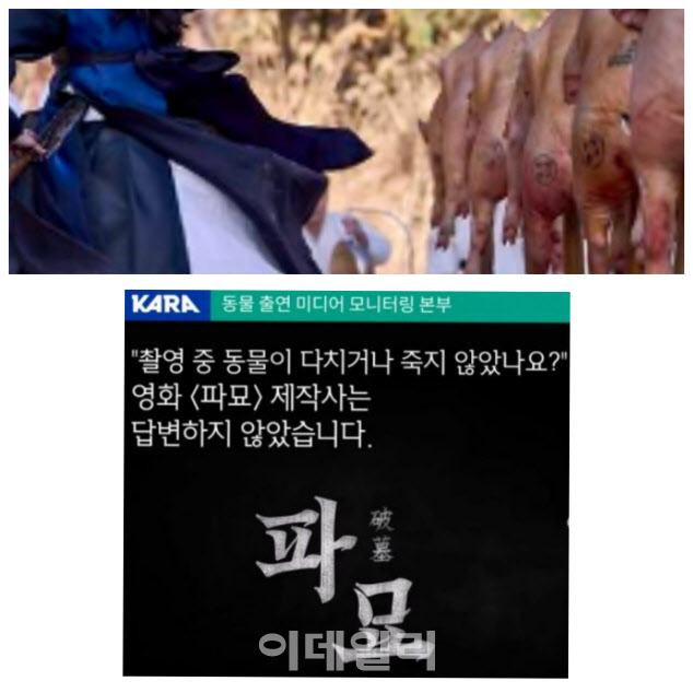 대살굿을 하는 파묘 영화 장면에 등장한 실제 돼지 사체 무더기(상단)