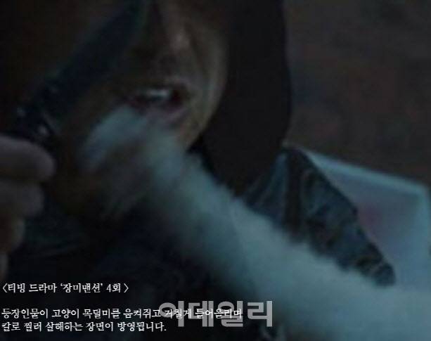 티빙 드라마 ‘장미멘션’ 속 실제 살아있는 고양이로 거칠게 움켜쥐며 폭행해 촬영한 장면 일부(사진=티빙, 동물자유연대)