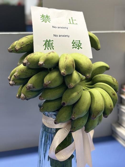 중국에서 '초조 금지'라는 메시지를 담아 판매하는 덜 익은 초록색 바나나./산샹두스바오