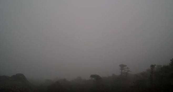 산간을 중심으로 비바람이 강하게 몰아치면서 한라산국립공원 7개 탐방로가 전면 통제됐다. (한라산 실시간 CCTV)